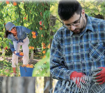 대화 PERCAKAPAN 1 & 2