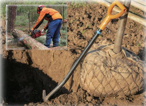 대화 PERCAKAPAN 1 & 2